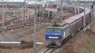 JR貨物　EF200 2号機が牽引する2081ﾚ貨物列車を加島陸橋から撮影（H31.1.28)