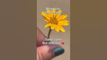 Day in the Life of a Network Engineer | Behind the Scenes of IT Infrastructure 🖥️🌐