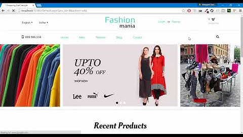 Basic E Commerce Website  in ASP NET   Part 3   Urdu Hindi Language