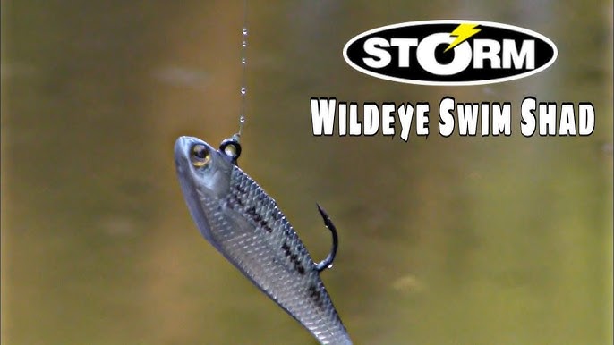 Storm WildEye swim baits (an HONEST review) 