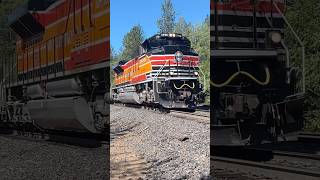 UP 1996 Leading Track Geometry Train Through Gold Run!