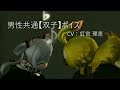 PSO2  CV:釘宮 理恵  男性共通【双子】ボイス