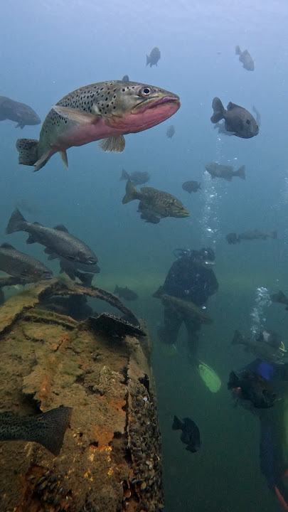 Caught in a Troutnado at Gilboa Quarry