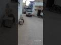 Cycling in Nadergul | #cycling #hyderabad #shorts #viralshorts