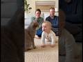 猫の声真似で猫と話しているような赤ちゃん👶🐈#cat #cats #baby #cute #funny #shorts #catvideos #赤ちゃん #猫