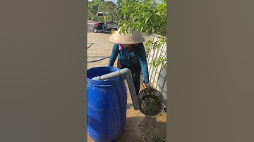 Máy bơm cắt rác taifu 0987389589