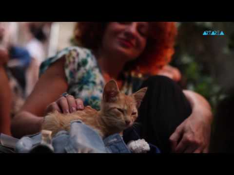 Tamuna Tolordava \u0026 David Shugliashvili - \"სიმღერამ გითხრას\"