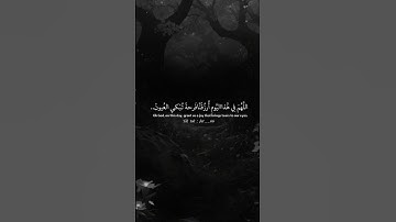 #همسه #دعاء #اللهم_صلي_على_محمد #قران #اذكار #دعاء_الصباح #دعاء_مستجاب #الاستغفار #الصلاة_على_النبي