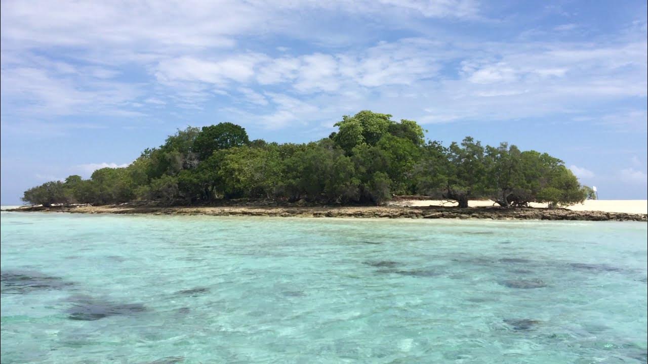 Earth Island Institute the Borneo Project