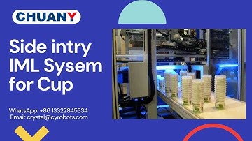 Side Entry IML Robot for 1 Cavitiy Plastic Cup