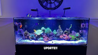 Waterbox 65.4 aio update!!