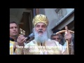 Orthodox Patriarch of Belgrade Irinej criticizes homosexuals