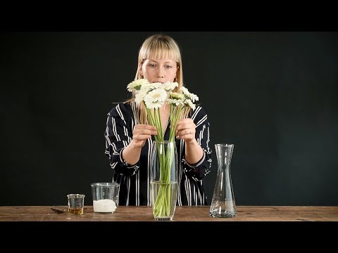 Video: Hvor længe holder tulipaner i blomst?