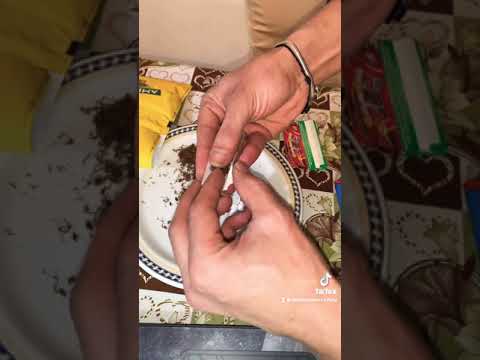 فيديو: كيفية لف السيجار: 14 خطوة (بالصور)