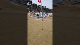 골프 잘친다는 연예인 누구일까요? #골프스타 #골프왕 #골프대회 #golf