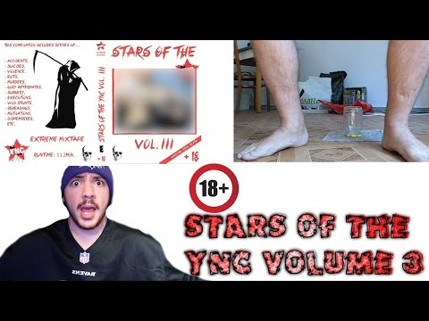 Stars Of The YNC Volume 3 Review