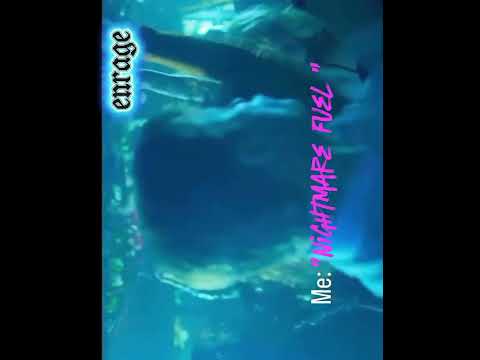 #JonHamm #JonHammEdit #Equinox #ENRAGE #ENRAGEband