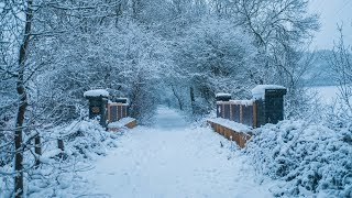 Bibio Phantom Brickworks