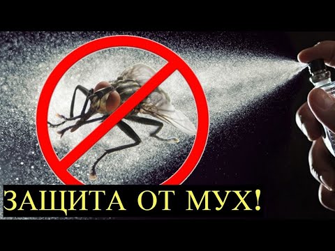 Эффективное и Дешёвое средство от Мух своими Руками! Рецепт проще Простого!