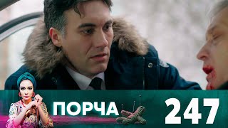 Порча | Выпуск 247 | Верный пёс