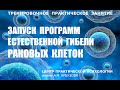 Запуск программ естественной гибели раковых клеток. Центр практической психологии. Методика РУНИ