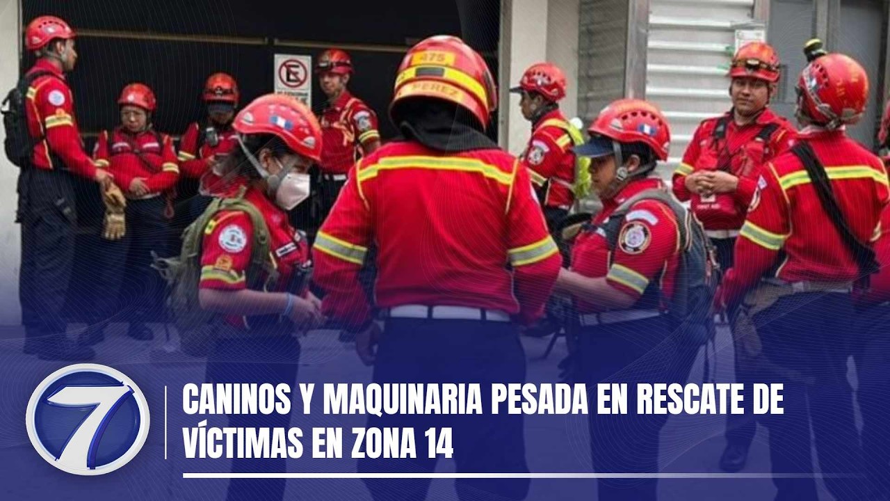 Caninos y maquinaria pesada en rescate de víctimas en zona 14