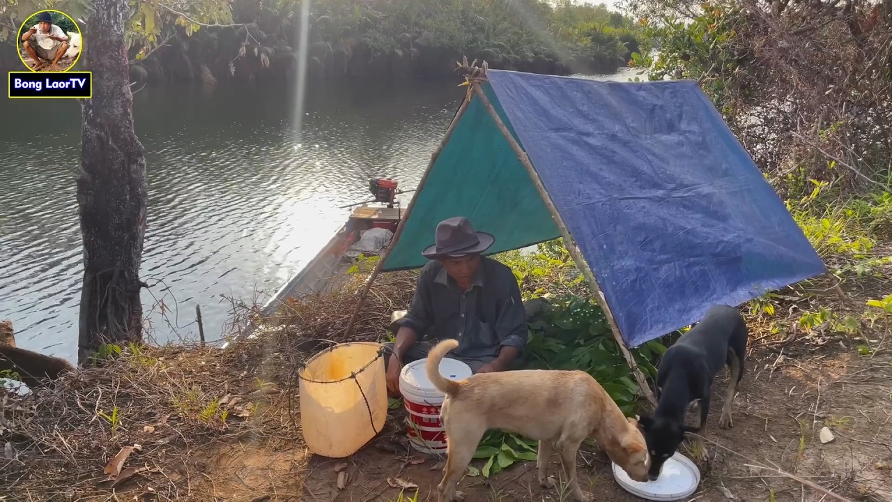 Лучший дикий мед на отдаленном острове, пейзажи тоже потрясающие. ПРЕКРАСНЫЕ СНИМКИ С ОСТРОВА ПЧЕ...