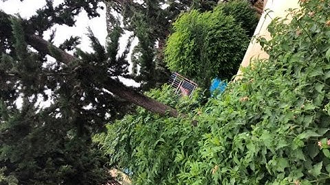 (أإله مع الله بل أكثرهم لا يعلمون ) ياسر الدوسري /سورة النمل.