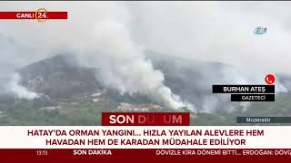 Hataydaki Orman Yangını Kontrol Altına Alınamıyor. Gazeteci Burhan Ateş Aktarıyor