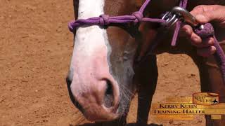 Kerry Kuhn Training Halter