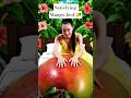 🥭 Giant Mango Bed ASMR | Golden Juice Dripping Satisfaction #shorts