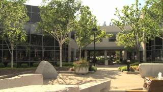 How to Virtualize SAP Applications with Cisco UCS -A  case study