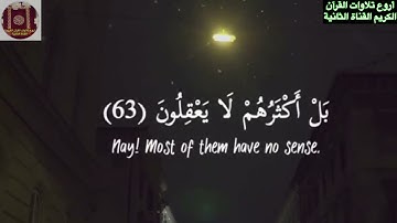 ولئن سألتهم من نزل من السماء ماء-تلاوة هادئة-عبدالرحمن مسعد