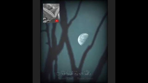 تلاوة خاشعة وآيات مباركة من سورة مريم.📚/القارئ عبدالله الموسى./حالات واتس أب دينية.💞