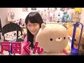 ぬいぐるみ 戸田くん捕獲！