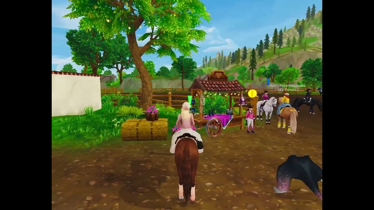 Warum mache ich keine Playmobil Videos ￼mehr?￼