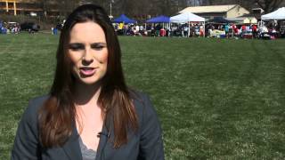 Bark For Life 2014