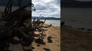 Con esto te encuentras paseando por la playa de Laredo (Cantabria)  👉🏻🌳 #shorts #cantabria