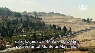 Viata unei familii de evrei pe muntele Maslinilor, in Ierusalim