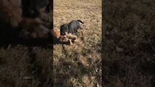 Nlt Zita Aport 3Mes..