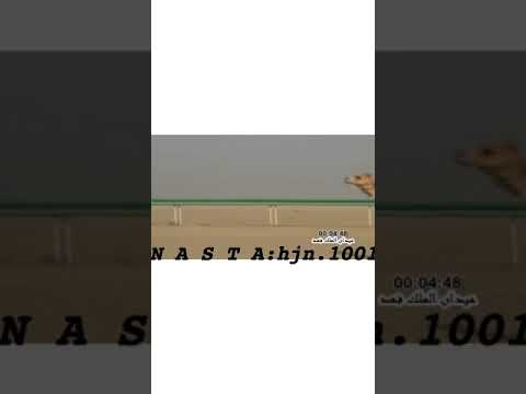 جلمود علي بن صالح الكريبي المري