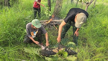 CUỘC SỐNG NGƯỜI RỪNG.TRÚNG MÁNH HEO RỪNG TRẢI NGHIỆM. THƯỞNG THỨC MÓN ĂN NGƯỜI RỪNG 