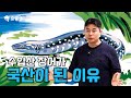 원산지표기의 A to Z l 무역회사 대표가 말아주는 수입의 모든것