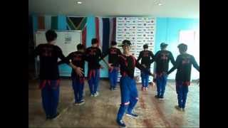 HARLEM SHAKE CIC