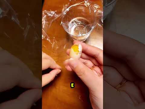 Essa tartaruga não tinha mais esperança! Porém, consegui ajudar.... 🐢🥰