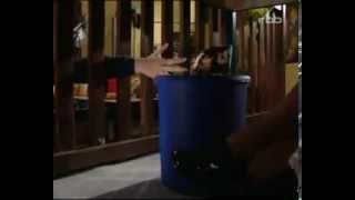 Schloss Einstein Folge 25