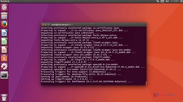 How to install Angry IP Scanner on Ubuntu 17.04
