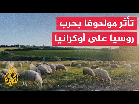 تداعيات حرب روسيا على أوكرانيا تزيد من التحديات الاقتصادية بمولدوفا