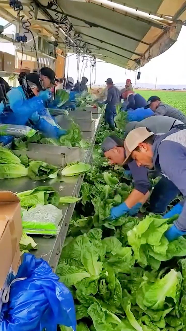 Así recibirán a los deportados en Puebla