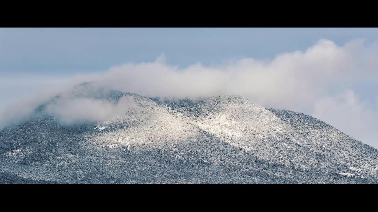 How To ANIMATE Cinematic Black Bars In Premiere Pro - YouTube